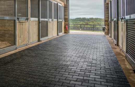 PaveSafe Rubber Pavers